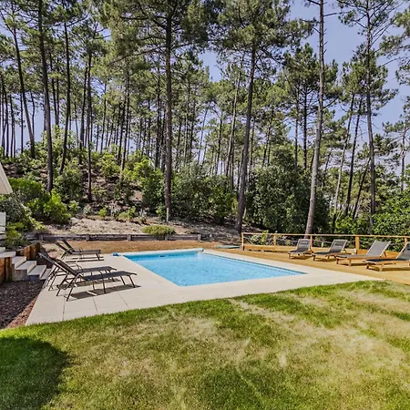Piscine 4ch Dans La Pinede A 4min De L Ocean Ag1 * Lacanau